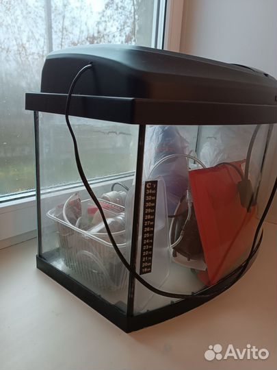 Аквариум