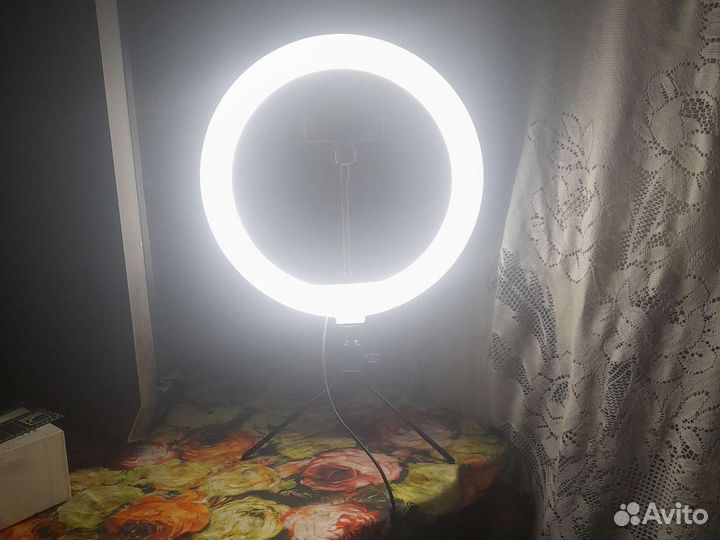 Кольцевая лампа