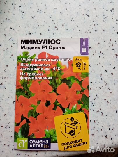Рассада цветов