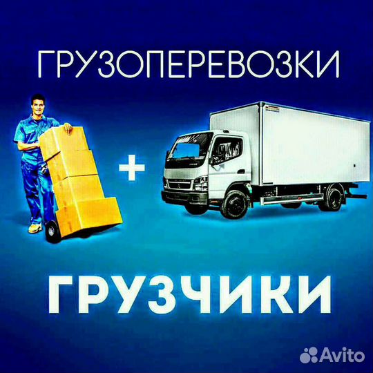 Грузоперевозки