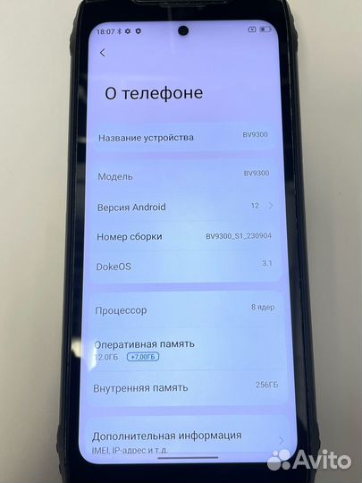 Blackview BV9300, 12/256 ГБ