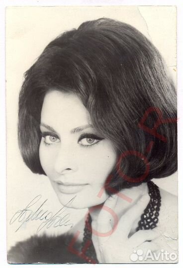 Автограф Софи Лорен