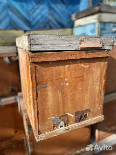 Пакеты для пчел