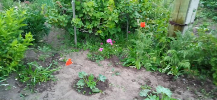 Дача 20 м² на участке 4 сот.