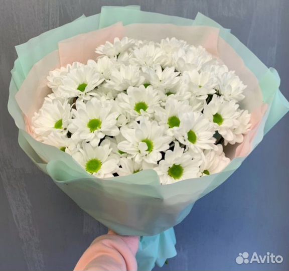 Роскошный букет хризантем