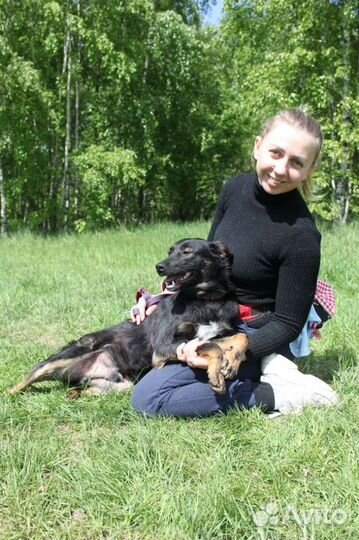 Мини Виктор