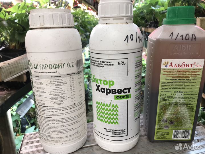 Доктор Харвест Форте