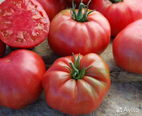 Семена помидор