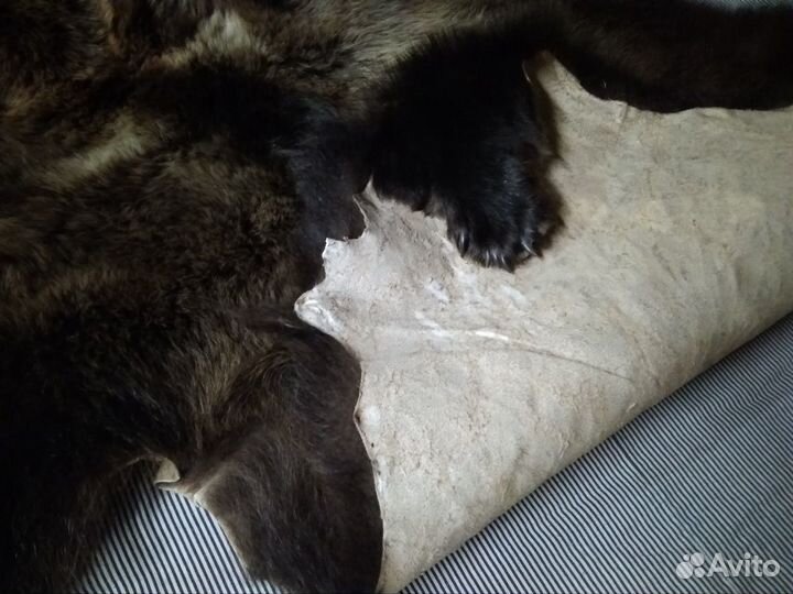 Шкура медведя (имитация)