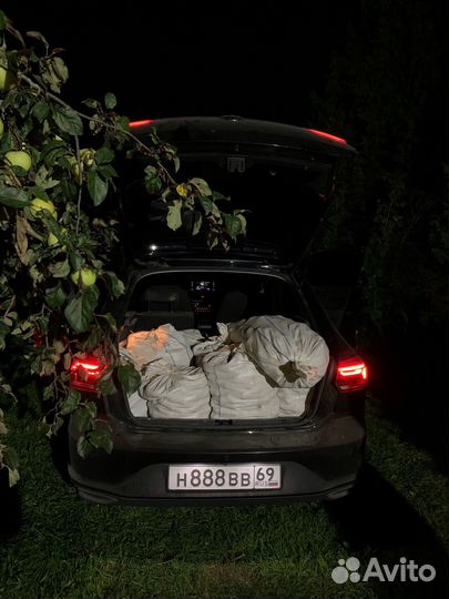 Картофель фиолетовый / розовый с доставкой