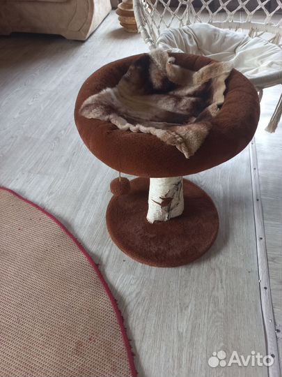 Лежанка для кота