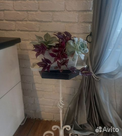 Эхеверия