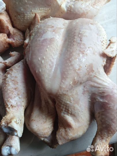 Куры бройлеры