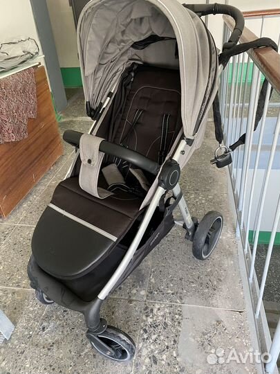 Коляска carello bravo plus 2023