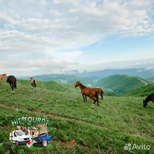 Экскурсии в Геленджике