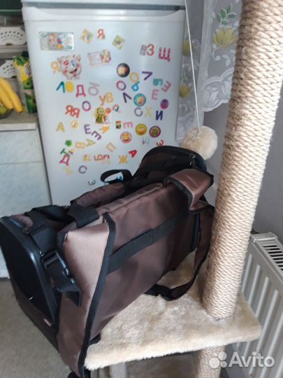 Переноска, рюкзак