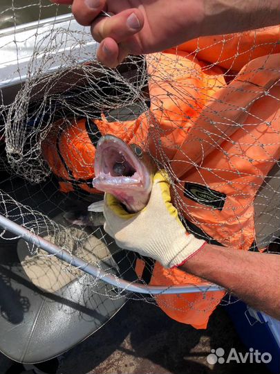 Рыбалка на каме, волге