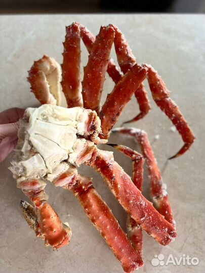 Краб камчатский