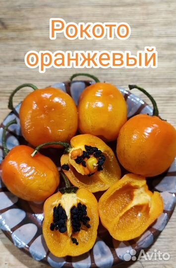 Семена коллекционных острых перцев