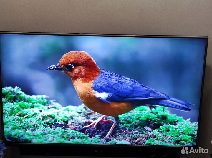 Телевизор LG 55