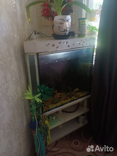 Аквариум