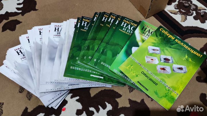 Насекомые в эпоксидной смоле деагостини