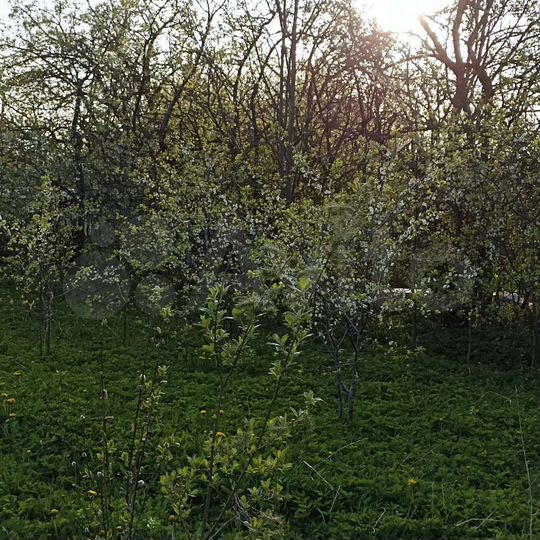 Участок 20 сот. (ИЖС)