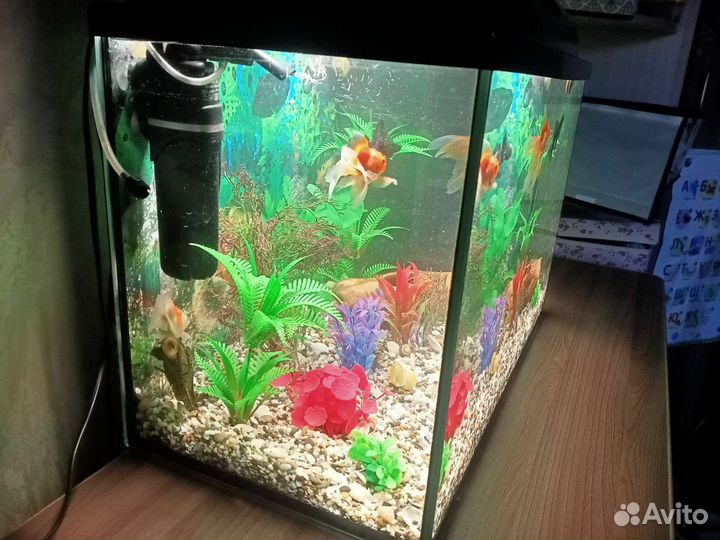 Аквариум с рыбками
