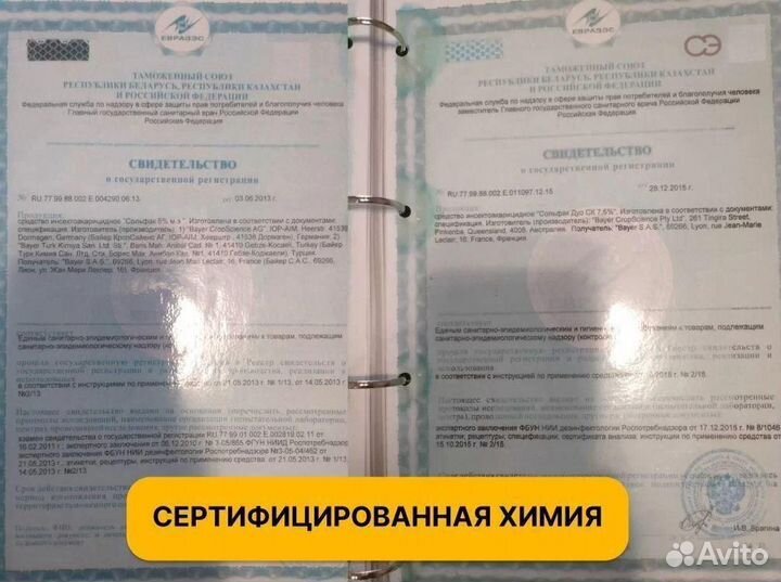 Уничтожение клопов,тараканов,плесени. Дезинфекция