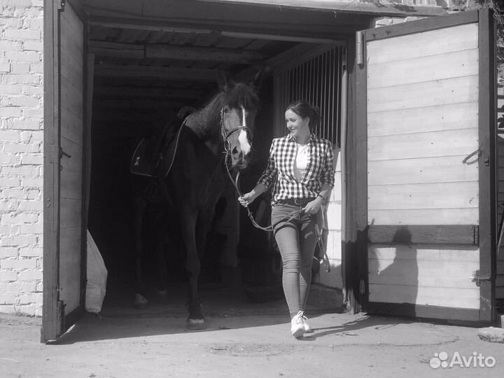 Фотосессии с лошадьми