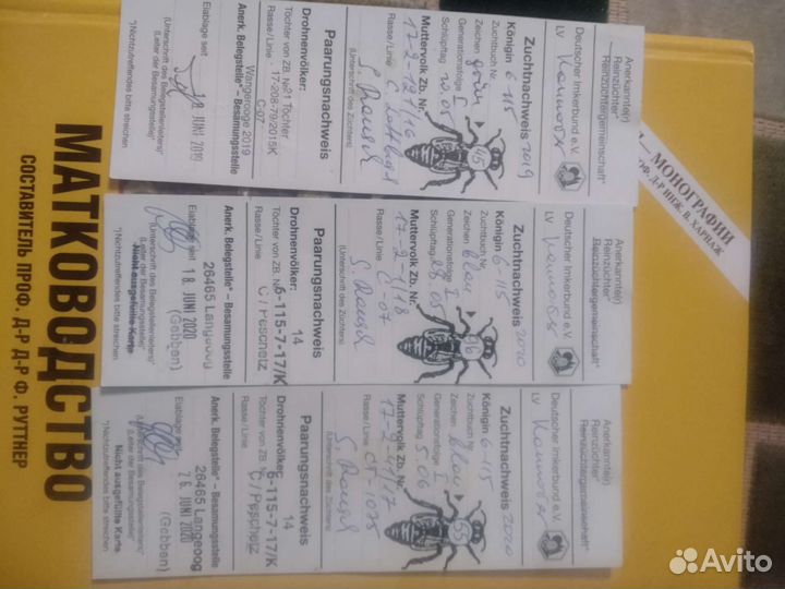 Пчелопакеты карника