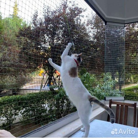 Защита питомцев от выпадения из окон