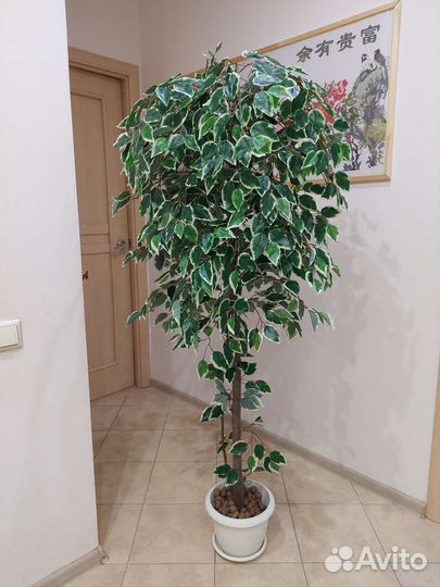 Искусственные деревья в горшке