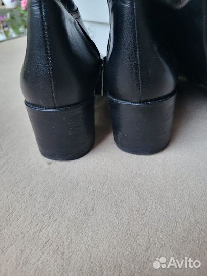 Сапоги женские демисезонные