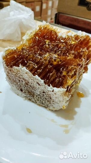 Мёд в сотах. Разнотравье. Алтай. Авитодоставка