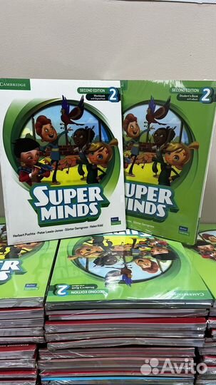 Super Minds 2 (second edition)