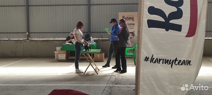 Хендлер, дрессировка собак