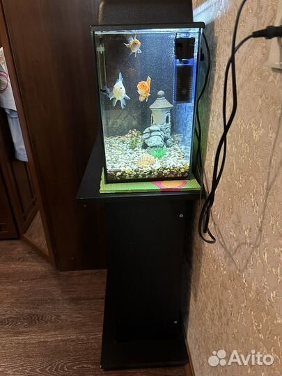 Аквариум