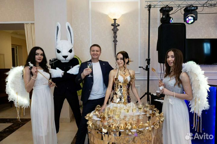 Профессиональный Диджей. Звук, Свет, Проектор