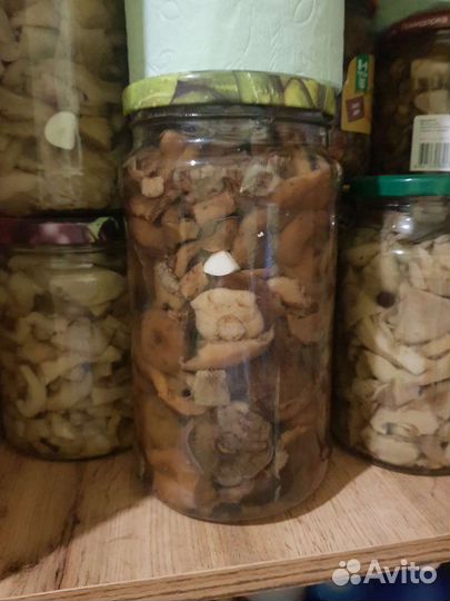 Маринованные подгрузи,подберезовики,маслята,оп