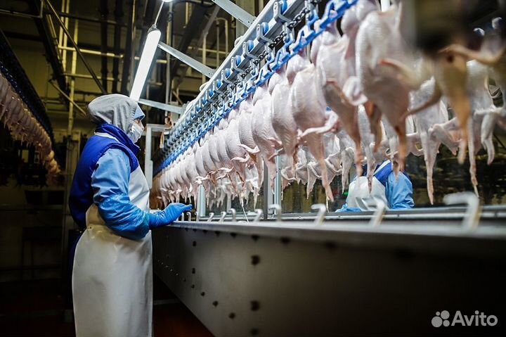 Разнорабочий. г. Владимир. Вахта