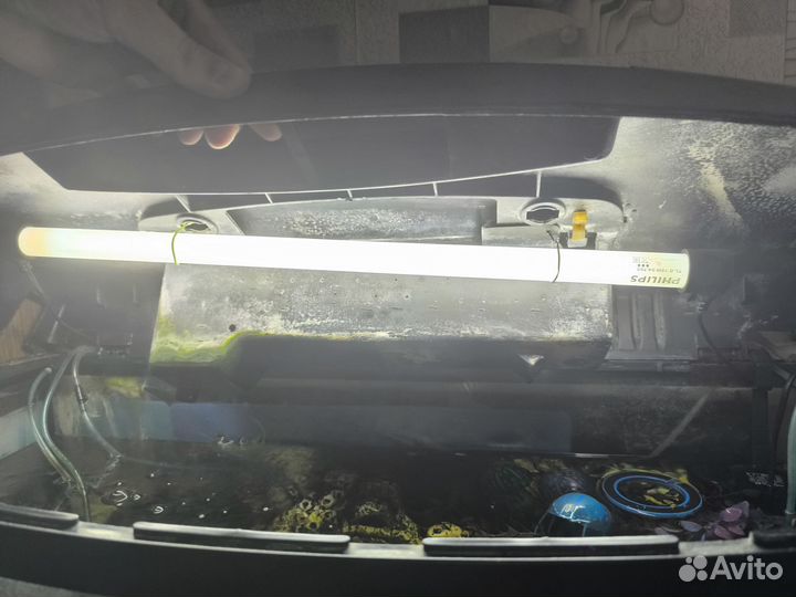 Аквариум и рыбки
