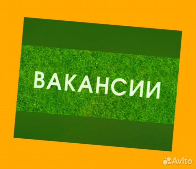 Грузчики Работа вахтой Выпл.еженед Жилье/Еда Отлич