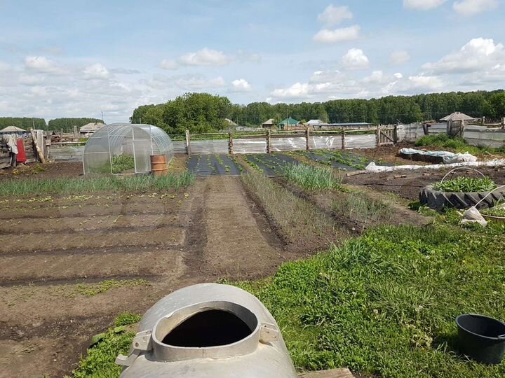 Дом 47,2 м² на участке 25 сот.