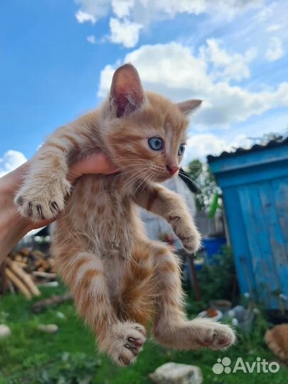 Симпатичные малыши