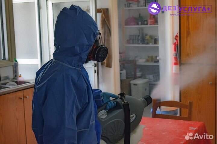 Уничтожение клопов, тараканов, комаров, плесени