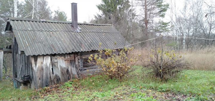 Дом 50 м² на участке 17 сот.