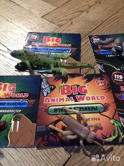 Big animal world