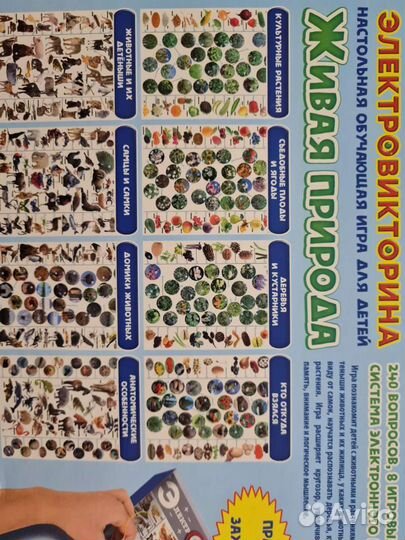 Настольные игры