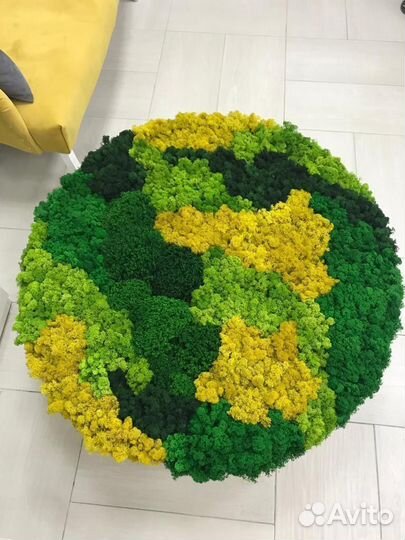 Стабилизированный мох 1 кг от производителя